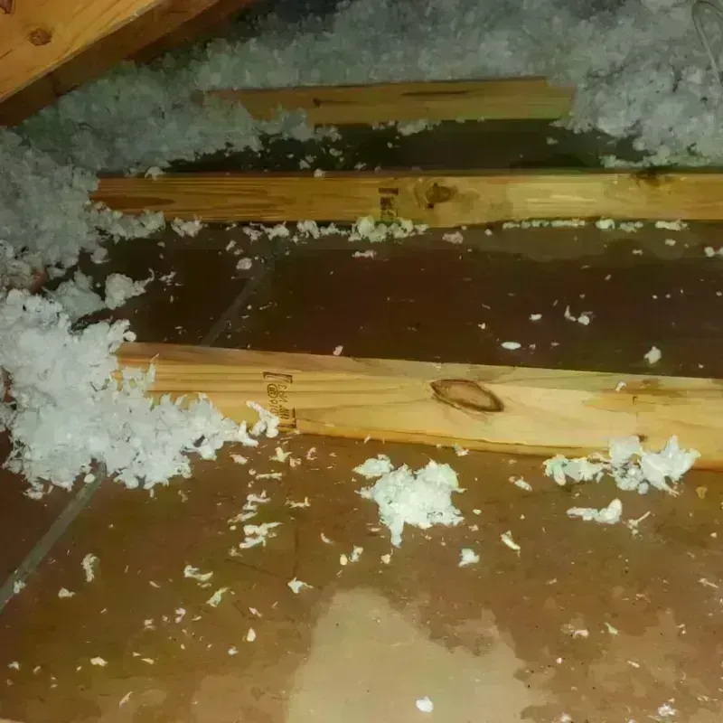 Attic Water Damage in Menard County, IL