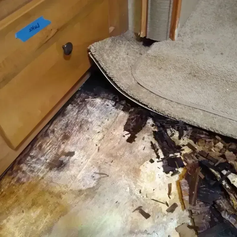 Wood Floor Water Damage in Menard County, IL